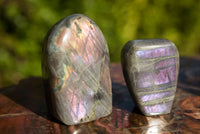 Polished Rare Purple Sunset Labradorite Standing Free Forms  x 6 From Sakoany, Madagascar - TopRock