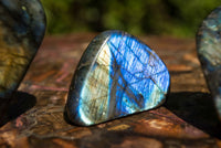 Polished Labradorite Standing Free Forms With Intense Blue & Gold Flash x 6 From Sakoany, Madagascar - TopRock