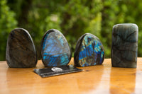 Polished Labradorite Standing Free Forms With Intense Blue & Gold Flash x 4 From Tulear, Madagascar - TopRock