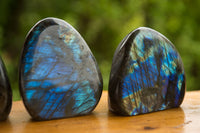 Polished Labradorite Standing Free Forms With Intense Blue & Gold Flash x 4 From Tulear, Madagascar - TopRock