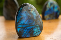 Polished Labradorite Standing Free Forms With Intense Blue & Gold Flash x 4 From Tulear, Madagascar - TopRock