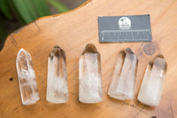 Polished Clear Quartz Crystal Points x 12 From Madagascar - TopRock