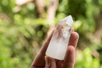 Polished Clear Quartz Crystal Points x 12 From Madagascar - TopRock