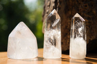 Polished Clear Quartz Crystal Points x 12 From Madagascar - TopRock