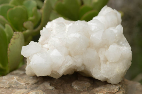 Natural Large White Pineapple Candle Quartz Cluster x 1 From Madagascar - TopRock