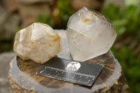 Polished Smokey Window Quartz Crystals  x 2 From Akansobe, Madagascar - TopRock