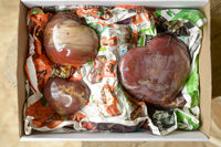 Polished Petrified Red Podocarpus Wood Hearts x 3 From Madagascar - TopRock