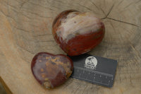 Polished Petrified Red Podocarpus Wood Hearts x 3 From Madagascar - TopRock