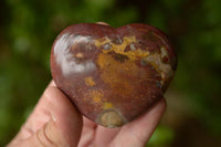 Polished Petrified Red Podocarpus Wood Hearts x 3 From Madagascar - TopRock