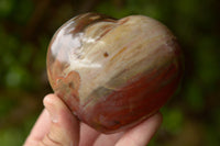 Polished Petrified Red Podocarpus Wood Hearts x 3 From Madagascar - TopRock