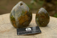 Polished Green Opal Standing Free Forms  x 5 From Madagascar - TopRock