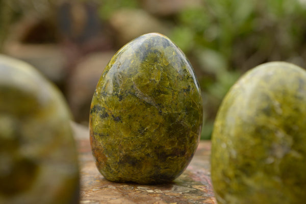 Polished Green Opal Standing Free Forms  x 5 From Madagascar - TopRock