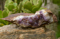 Natural Amethyst In Basalt Geode Specimen  x 1 From Zululand, South Africa - TopRock