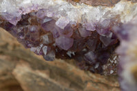 Natural Amethyst In Basalt Geode Specimen  x 1 From Zululand, South Africa - TopRock