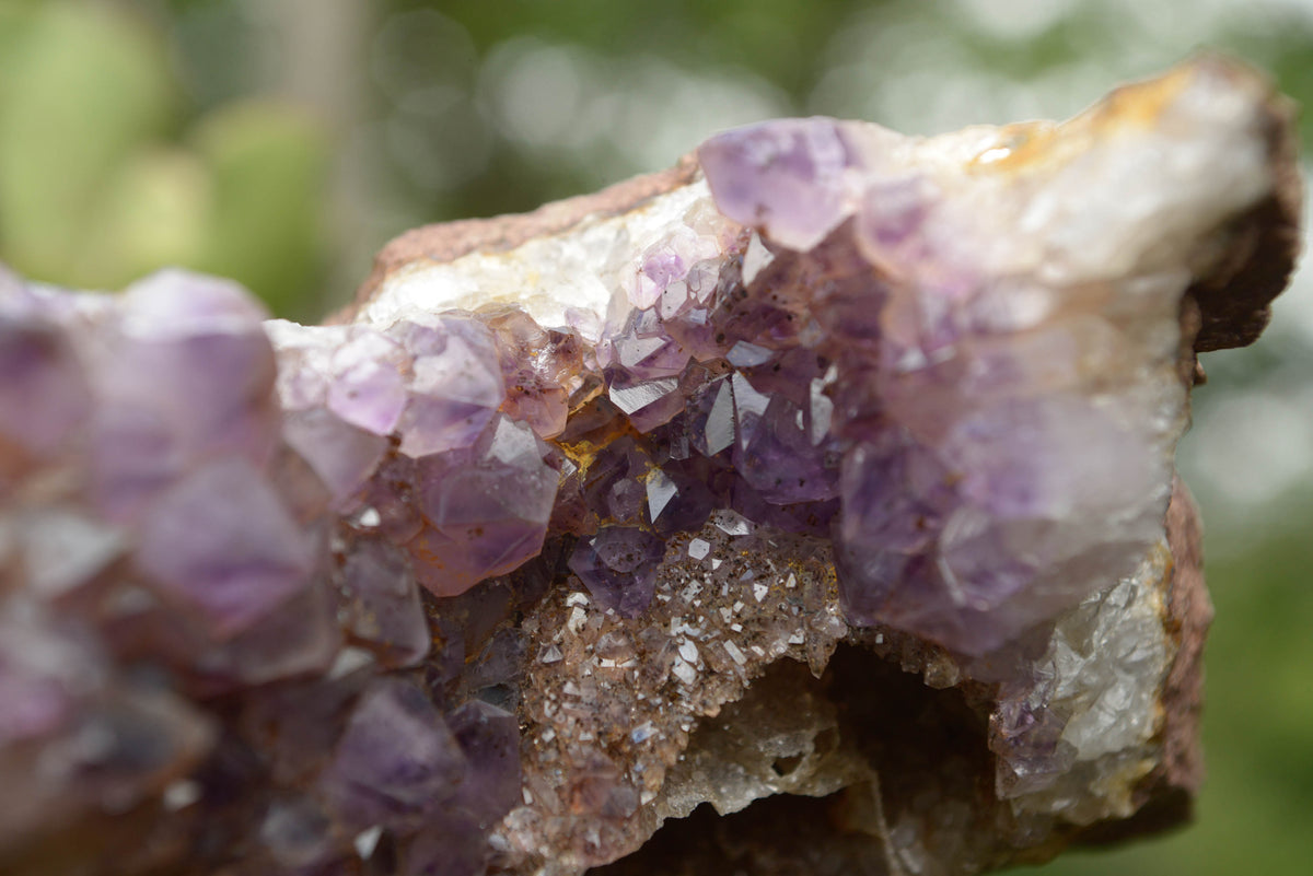 Natural Amethyst In Basalt Geode Specimen x 1 From Zululand, South ...