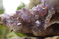 Natural Amethyst In Basalt Geode Specimen  x 1 From Zululand, South Africa - TopRock