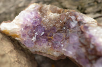 Natural Amethyst In Basalt Geode Specimen  x 1 From Zululand, South Africa - TopRock