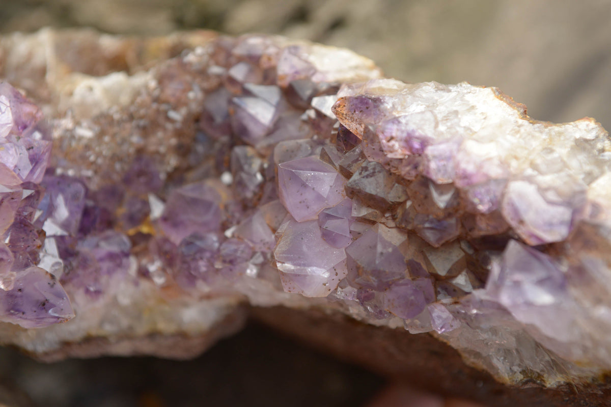 Natural Amethyst In Basalt Geode Specimen x 1 From Zululand, South ...