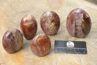 Polished Petrified Red Podocarpus Wood Standing Free Forms x 6 From Mahajanga, Madagascar - TopRock