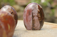 Polished Petrified Red Podocarpus Wood Standing Free Forms x 6 From Mahajanga, Madagascar - TopRock