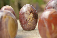 Polished Petrified Red Podocarpus Wood Standing Free Forms x 6 From Mahajanga, Madagascar - TopRock