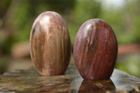 Polished Petrified Red Podocarpus Wood Standing Free Forms x 6 From Mahajanga, Madagascar - TopRock