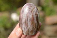 Polished Petrified Red Podocarpus Wood Standing Free Forms x 6 From Mahajanga, Madagascar - TopRock