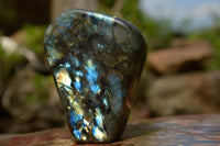 Polished Labradorite Standing Free Forms With Blue & Gold Flash  x 2 From Tulear, Madagascar - TopRock