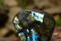 Polished Labradorite Standing Free Forms With Blue & Gold Flash  x 2 From Tulear, Madagascar - TopRock