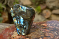 Polished Labradorite Standing Free Forms With Blue & Gold Flash  x 2 From Tulear, Madagascar - TopRock