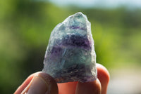 Natural Selected Cobbed Small Watermelon Fluorite Pieces - sold per 2 Kg - From Uis, Namibia - TopRock