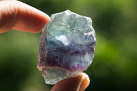 Natural Selected Cobbed Small Watermelon Fluorite Pieces - sold per 2 Kg - From Uis, Namibia - TopRock