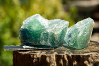 Natural Selected Cobbed Large Sized Watermelon Fluorite Pieces - sold per 5 Kg - From Uis, Namibia - TopRock