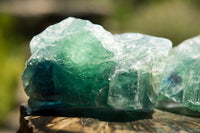 Natural Selected Cobbed Large Sized Watermelon Fluorite Pieces - sold per 5 Kg - From Uis, Namibia - TopRock