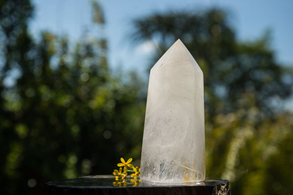 Polished Large Optic to Near Optic Quartz Point x 1 From Madagascar - TopRock