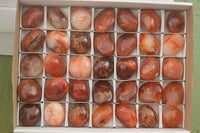 Polished Vibrant Carnelian Agate Palm Stones  x 35 From Madagascar - TopRock