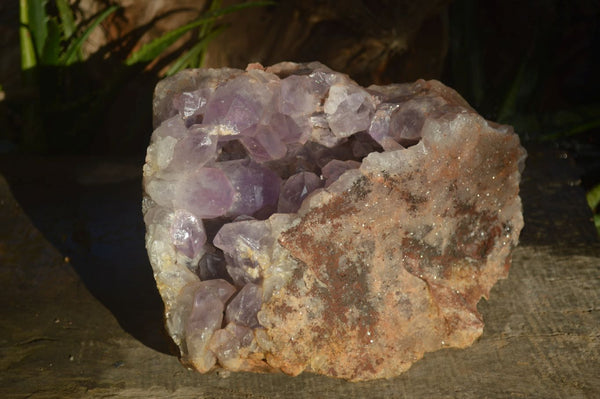 Natural Jacaranda Amethyst Cluster x 1 From Mumbwa, Zambia - TopRock