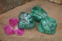 Polished Malachite Free Forms With Stunning Flower & Banding Patterns x 3 From Congo - TopRock