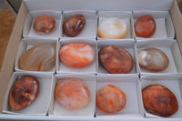 Polished  Carnelian Agate Palm Stones  x 12 From Madagascar