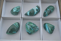 Polished Malacholla (Malachite & Chrysocolla) Free Forms  x 6 From Kulukuluku, Congo - Toprock Gemstones and Minerals 