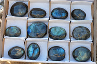 Polished Flashy Labradorite Palm Stones  x 12 From Tulear, Madagascar - TopRock