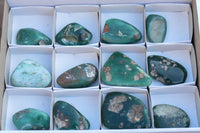 Polished Green Mtorolite / Emerald Chrysoprase Palm Stones  x 12 From Southern Africa - TopRock