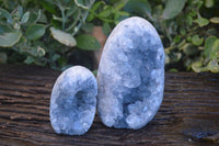 Polished Blue Celestite Standing Free Forms  x 2 From Madagascar - Toprock Gemstones and Minerals 