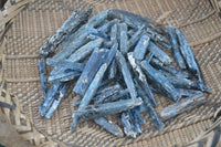 Natural Single Blue Kyanite Crystals  x 1.5 Kg Lot From Karoi, Zimbabwe