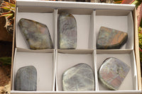 Polished Rare Purple Flash Labradorite Standing Free Forms  x 6 From Tulear, Madagascar - TopRock