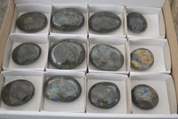 Polished Flashy Labradorite Palm Stones  x 12 From Tulear, Madagascar - Toprock Gemstones and Minerals 