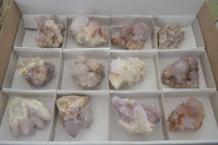 Natural Mixed Spirit Quartz Clusters  x 12 From Boekenhouthoek, South Africa - Toprock Gemstones and Minerals 