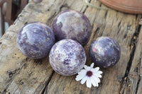 Polished Purple Mica Lepidolite Spheres  x 4 From Madagascar - TopRock