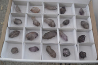 Natural Small Smokey Amethyst Crystals  x 20 From Chiredzi, Zimbabwe - Toprock Gemstones and Minerals 