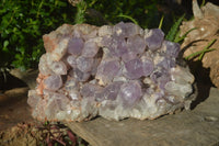 Natural Jacaranda Amethyst Cluster x 1 From Mumbwa, Zambia - TopRock